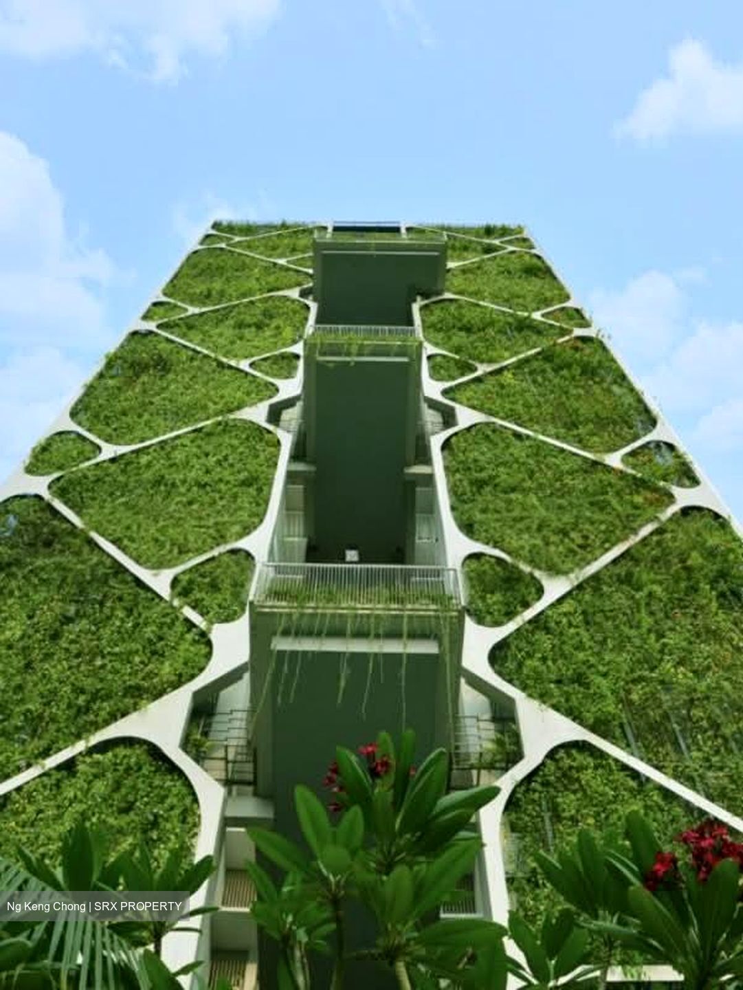 Tree House (D23), Condominium #561643381
